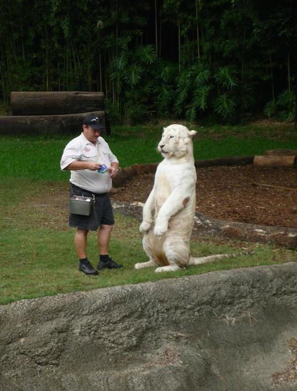 screen-shot-2014-03-26-at-8-47-22-pm