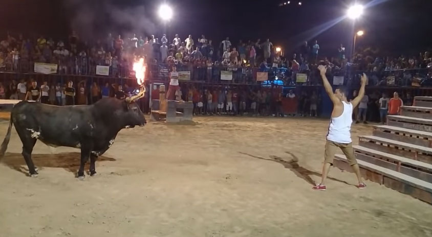 不要挑逗角上著火的牛