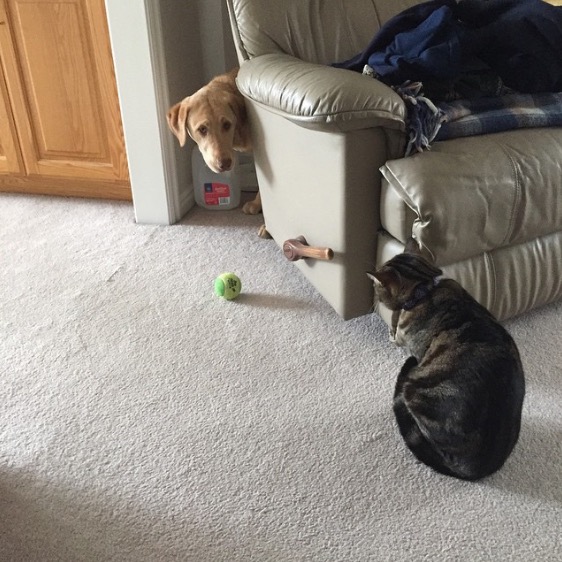 螢幕快照 2015-07-01 下午5.03.16