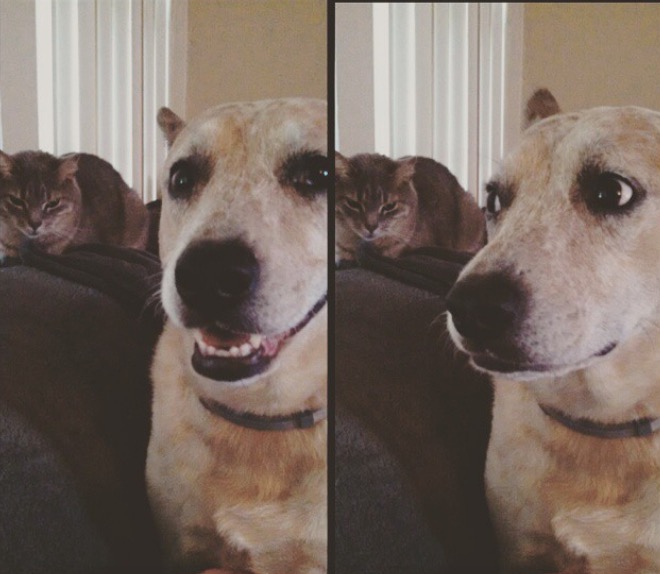 螢幕快照 2015-07-01 下午5.04.10