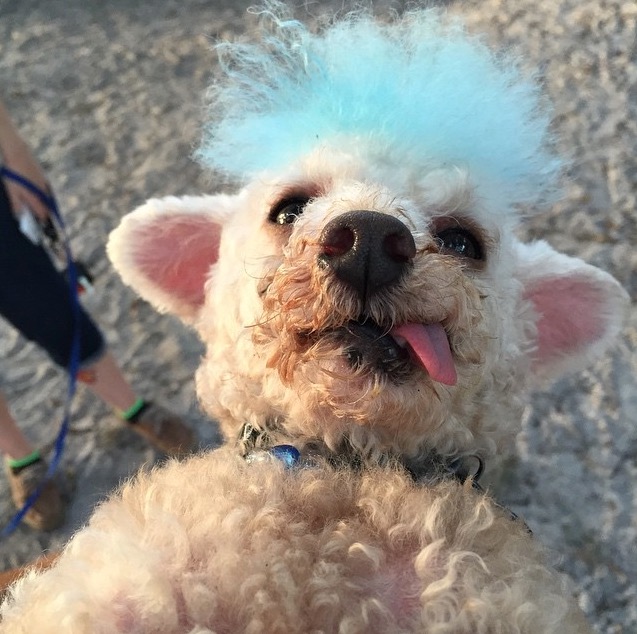 螢幕快照 2015-07-08 下午3.11.08