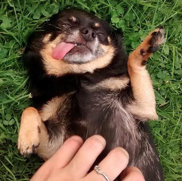 螢幕快照 2015-07-08 下午3.12.18