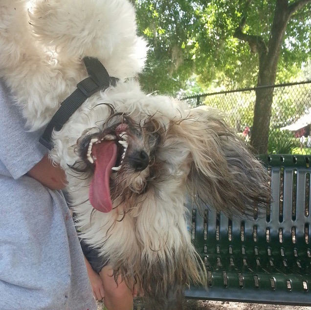 螢幕快照 2015-07-08 下午3.12.50