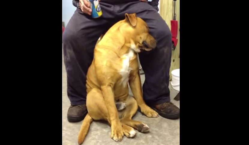 螢幕快照 2015-07-18 下午3.01.24