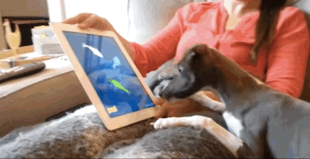 anigif_enhanced-2281-1411577713-18