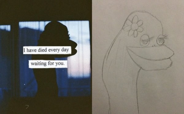 enhanced-4202-1438699407-1