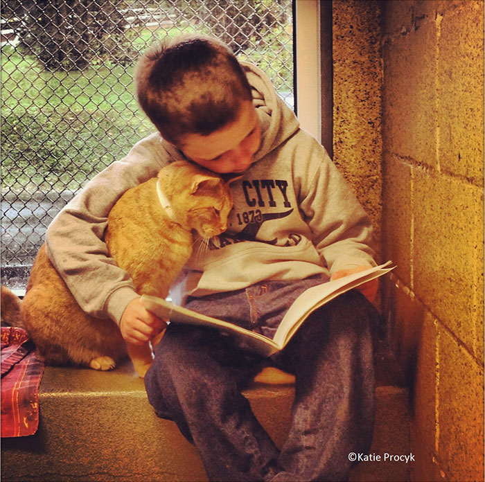 woman-reads-books-shelter-dogs-pittsburgh-6