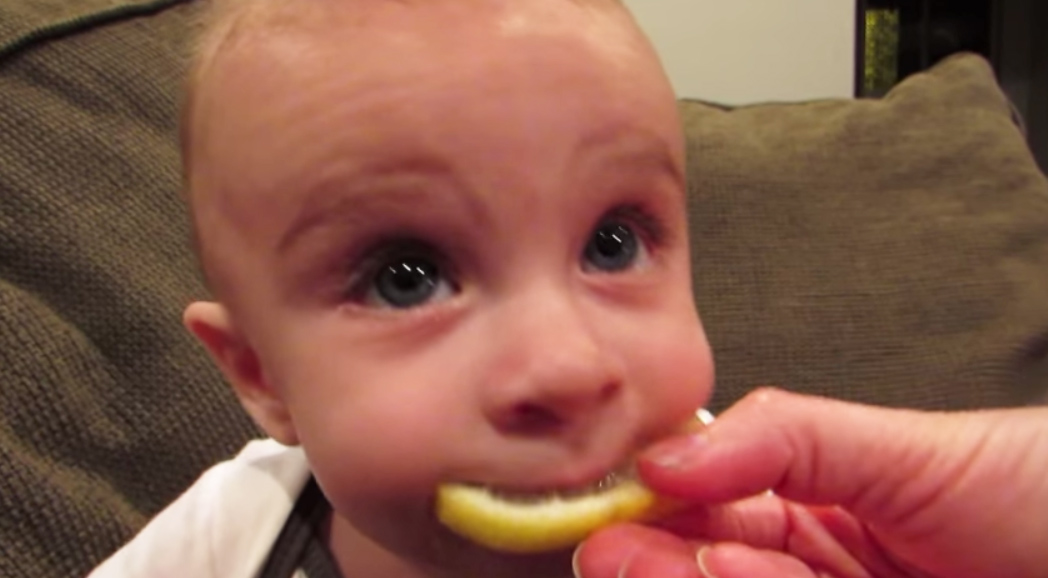 可愛寶寶吃檸檬