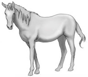 螢幕快照 2015-08-12 下午3.54.39