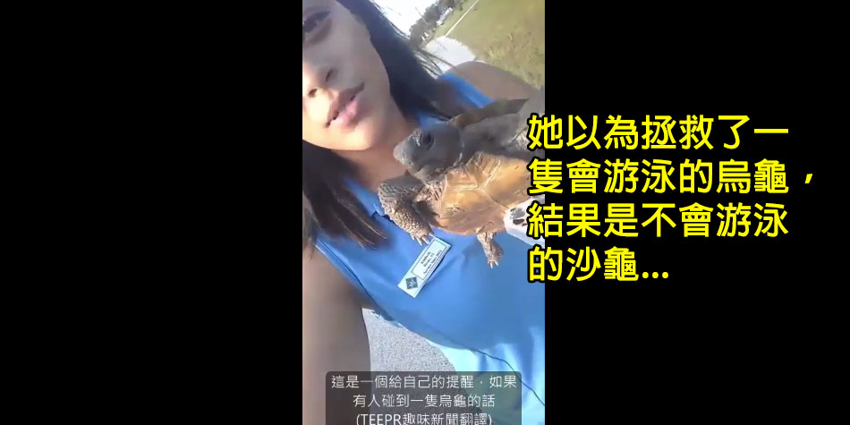 以為拯救了烏龜5