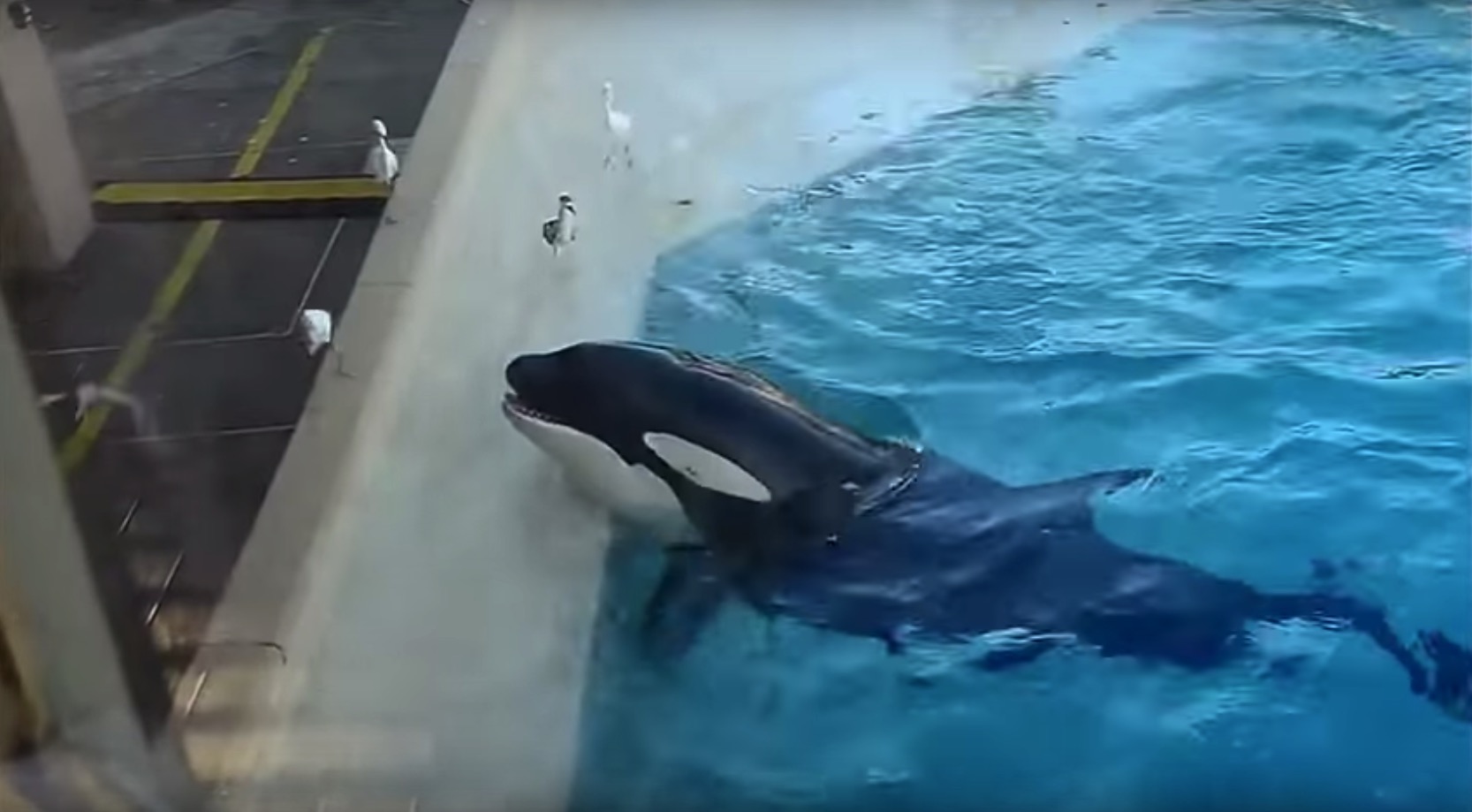 螢幕快照 2015-09-01 下午3.09.28