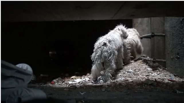 螢幕快照 2015-09-01 下午3.41.38