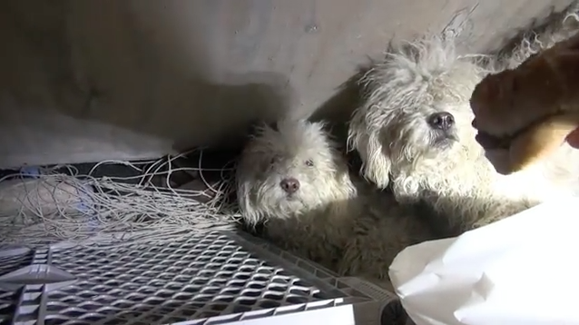 螢幕快照 2015-09-01 下午3.42.01