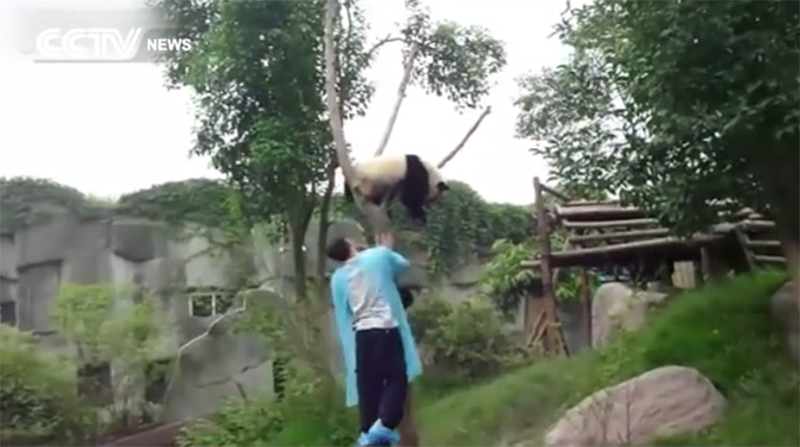 螢幕快照 2015-09-12 下午3.13.34拷貝