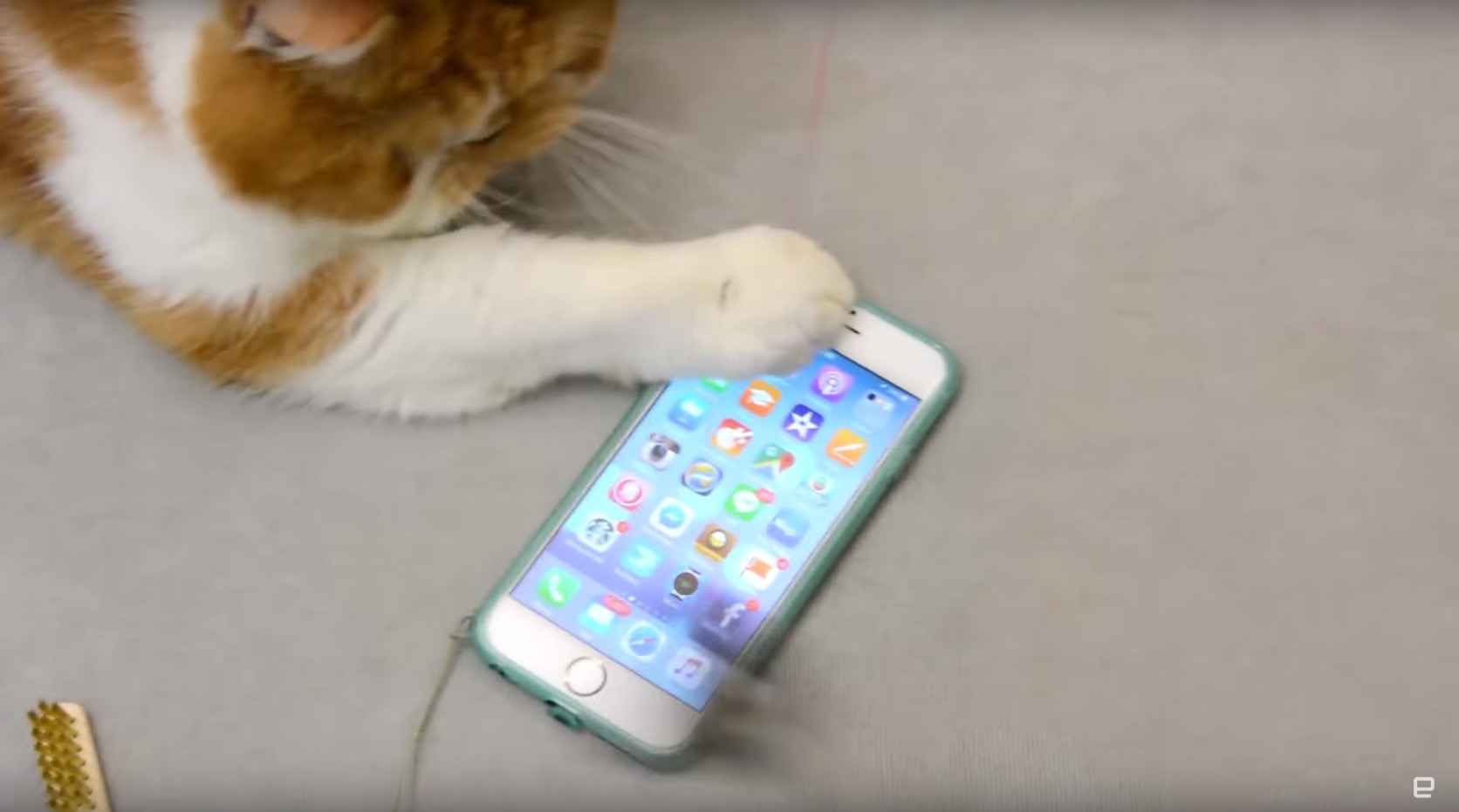 螢幕快照 2015-10-28 下午12.33.03