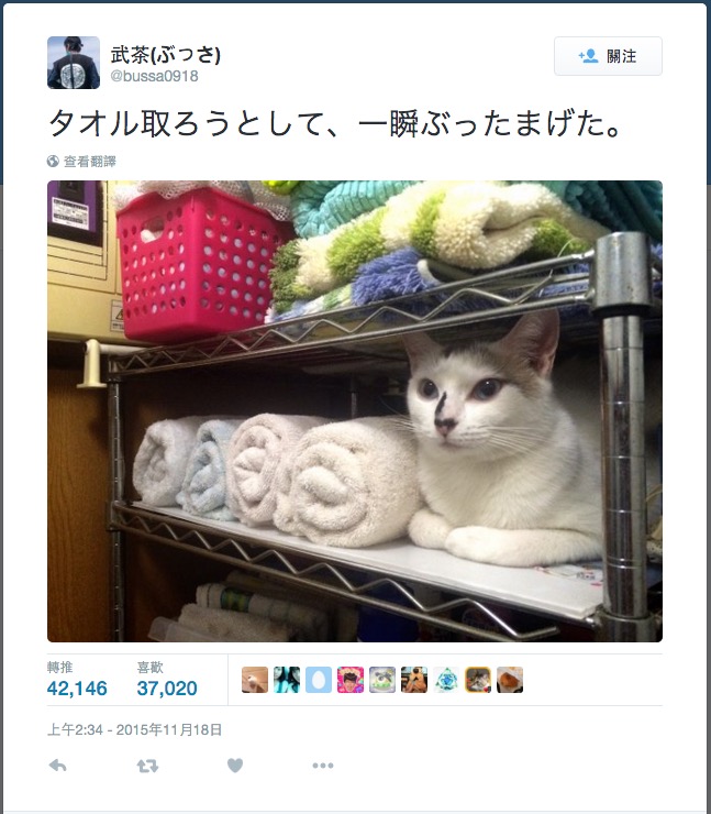 螢幕快照 2015-11-20 下午12.46.14