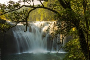 10679619_10202204437751751_200515082901738861_o