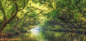 53張泰國攝影師在台灣拍攝的絕美照片,會讓台灣人都驚覺「連我都沒發現這麼美!」% 照片 53張泰國攝影師在台灣拍攝的絕美照片,會讓台灣人都驚覺「連我都沒發現這麼美!」