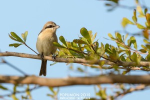 12548909_10203992153883537_3797123159482505835_n