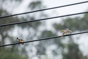 941043_10203995992699505_3735610705095967189_n