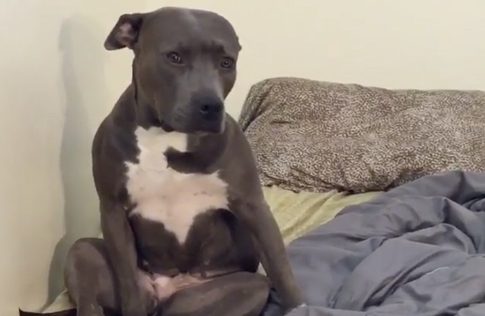 Screen-Shot-2016-01-12-at-3.08.42-PM