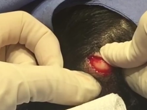 螢幕快照 2016-03-05 上午12.46.36