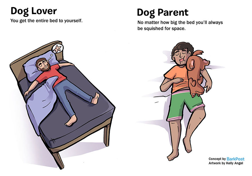 dog-lover-vs-parent-illustration-kelly-angel-2__880