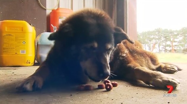 0b6d46745716e7b59bda1f6a546fc741