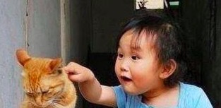 螢幕快照 2016-04-12 下午12.21.26