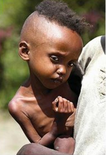 螢幕快照 2016-04-12 下午12.38.22