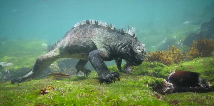 螢幕快照 2016-04-13 下午5.33.38