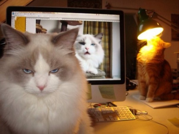 螢幕快照 2016-04-15 下午11.08.15