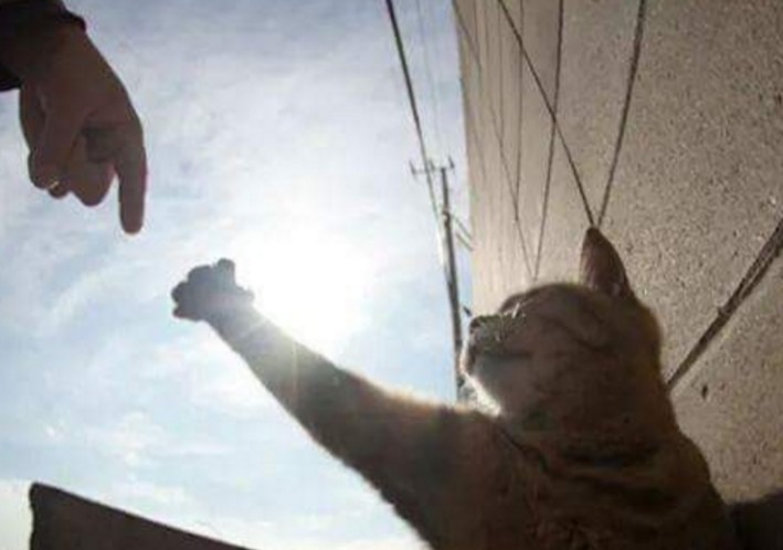 螢幕快照 2016-04-15 下午11.09.16