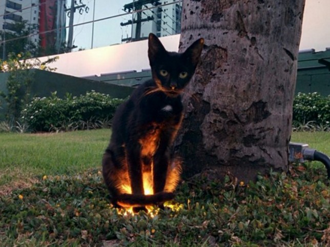 螢幕快照 2016-04-15 下午11.09.37