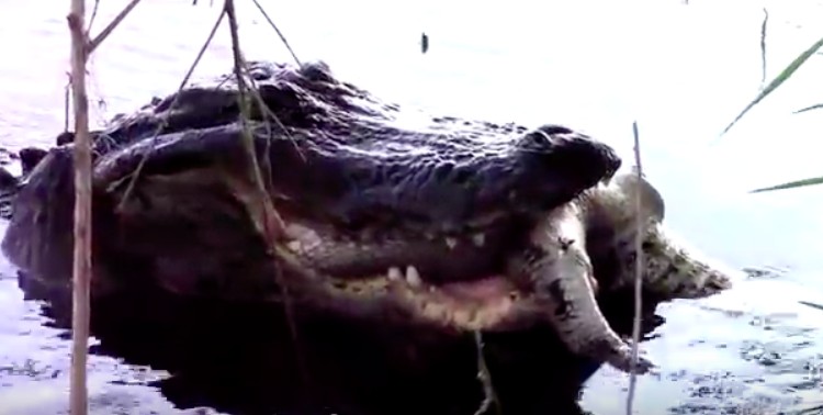 螢幕快照 2016-04-15 下午4.19.24