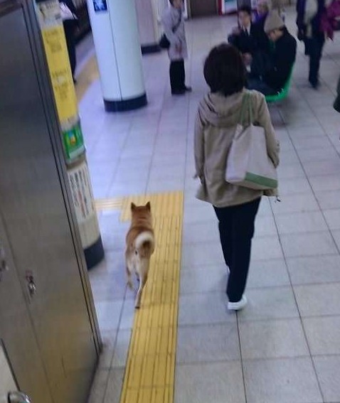 螢幕快照 2016-04-21 下午12.58.52