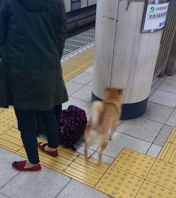 螢幕快照 2016-04-21 下午12.59.02