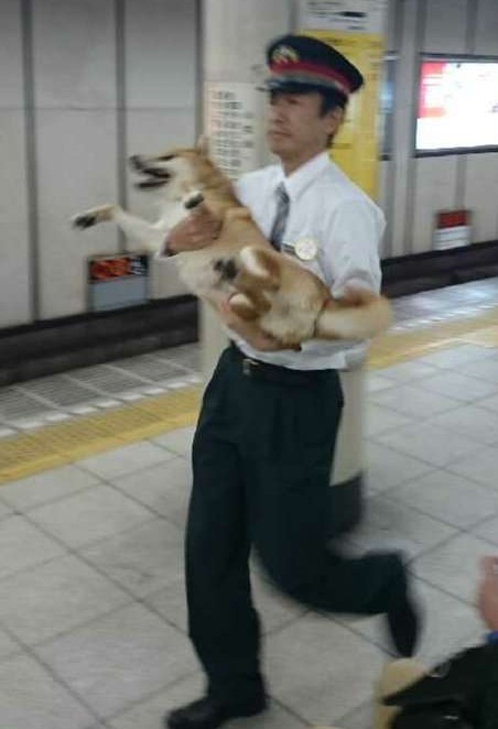 螢幕快照 2016-04-21 下午12.59.18