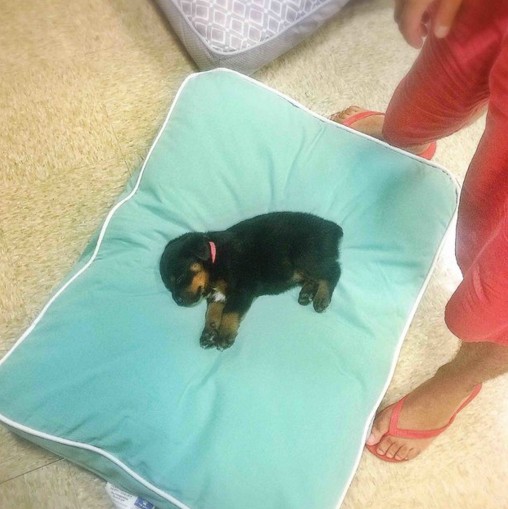 萤幕快照 2016-04-22 下午3.42.49