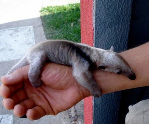 萤幕快照 2016-04-22 下午3.45.34