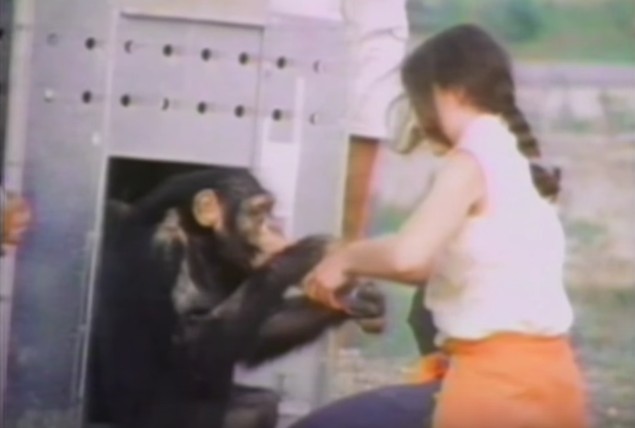 螢幕快照 2016-04-29 下午3.54.55