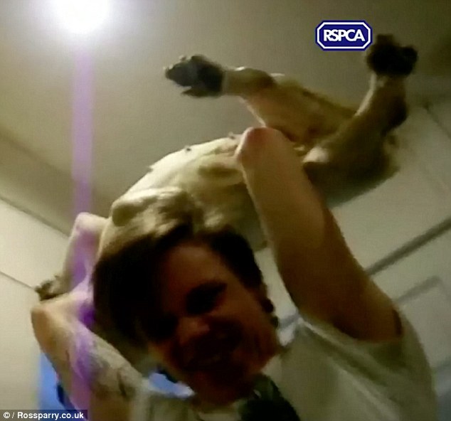 32AA8AE200000578-0-image-a-39_1459327612398