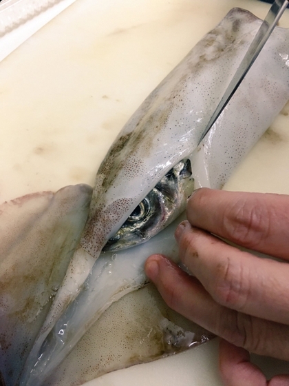 420_1cf3cb58ffb4cb995f4ffad3e8e0479d