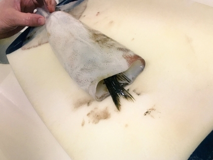 420_7eded27bba18bdb5a862d7c604a4f1b3