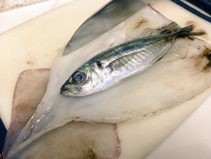 420_9bca8b9a9082dad3155c1be0ff6dfc35