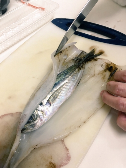 420_b36221820633dff08f30b4d0dd4ee067