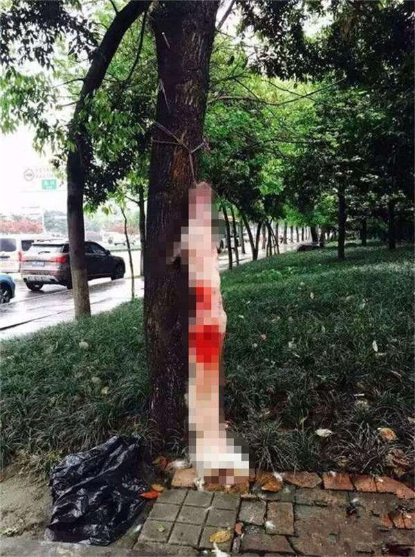 6359613001834206566041492