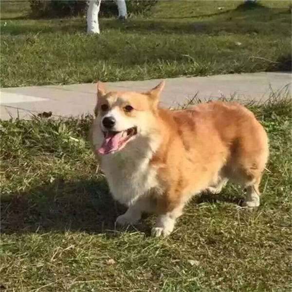 6359613001838012499584544