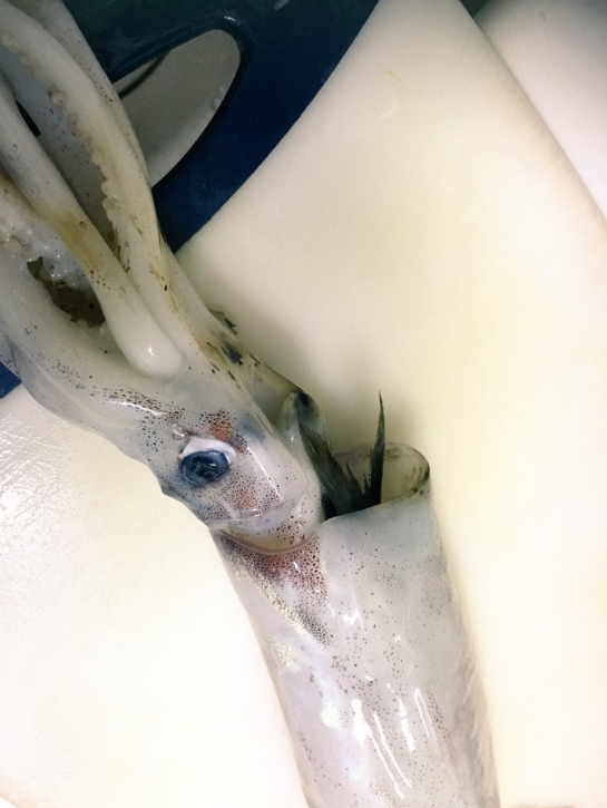 640_05fa09474ee224428e2d0874157d4dc4