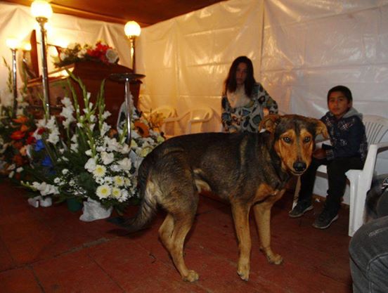 640_e07f1a989af883bf00fb1d728c7ef684